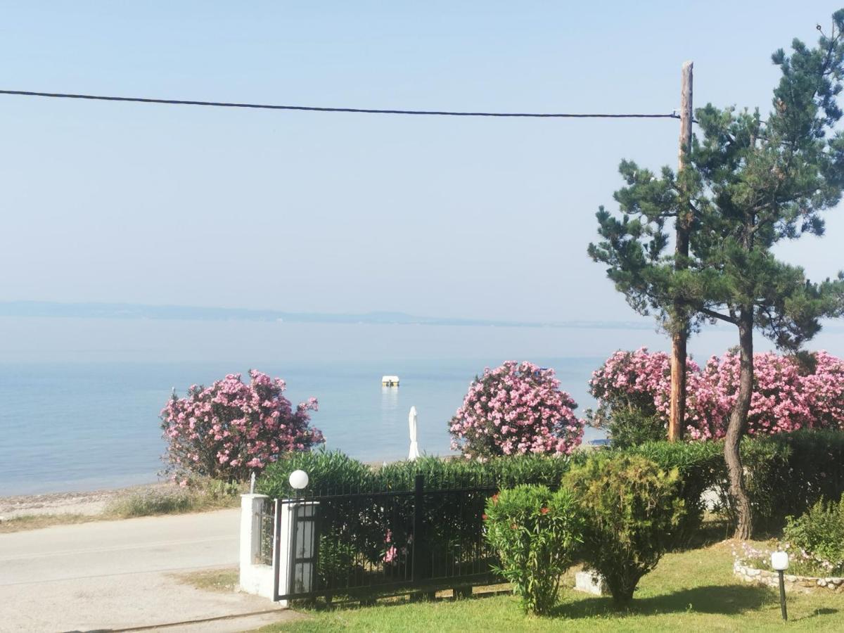 Metamorphosis - Halkidiki Apartment On The Beach Metamorfosi  Zewnętrze zdjęcie