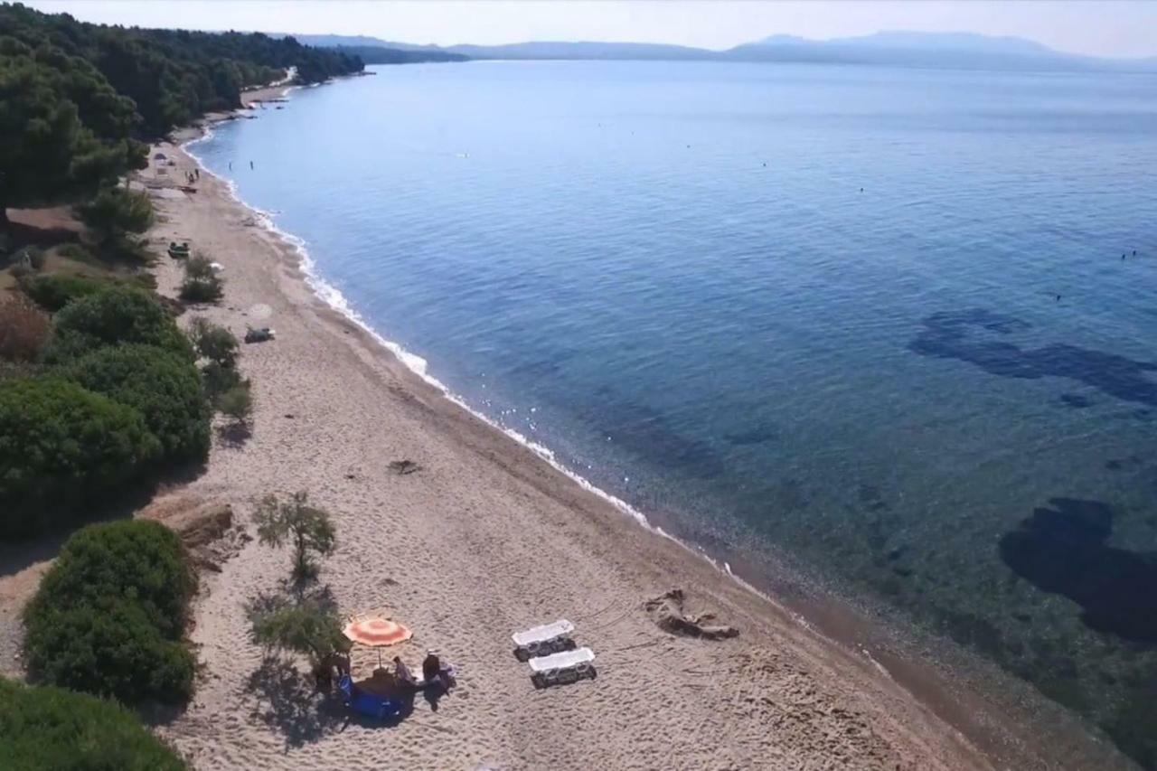 Metamorphosis - Halkidiki Apartment On The Beach Metamorfosi  Zewnętrze zdjęcie