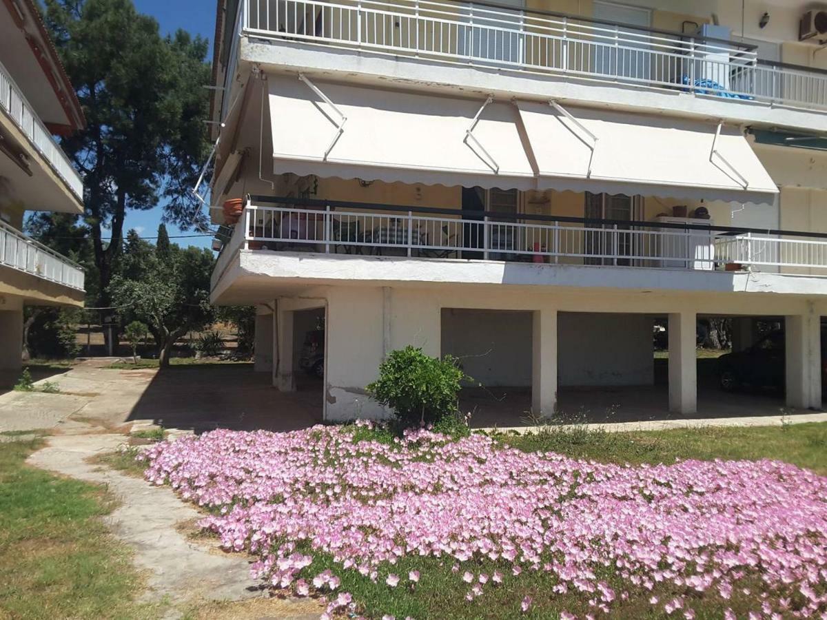 Metamorphosis - Halkidiki Apartment On The Beach Metamorfosi  Zewnętrze zdjęcie